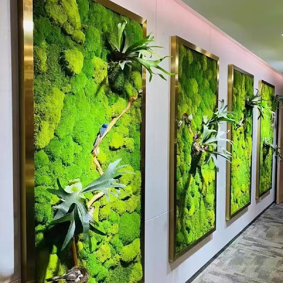 生态植物墙项目效果